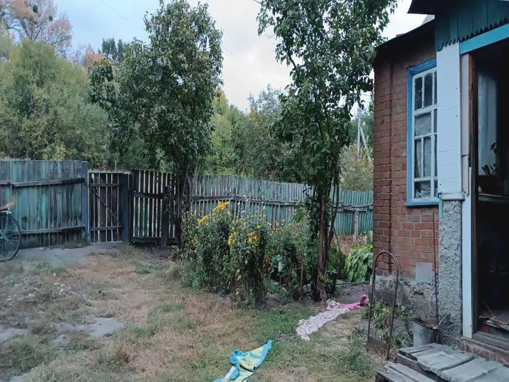 Будинок в оточенні лісу!