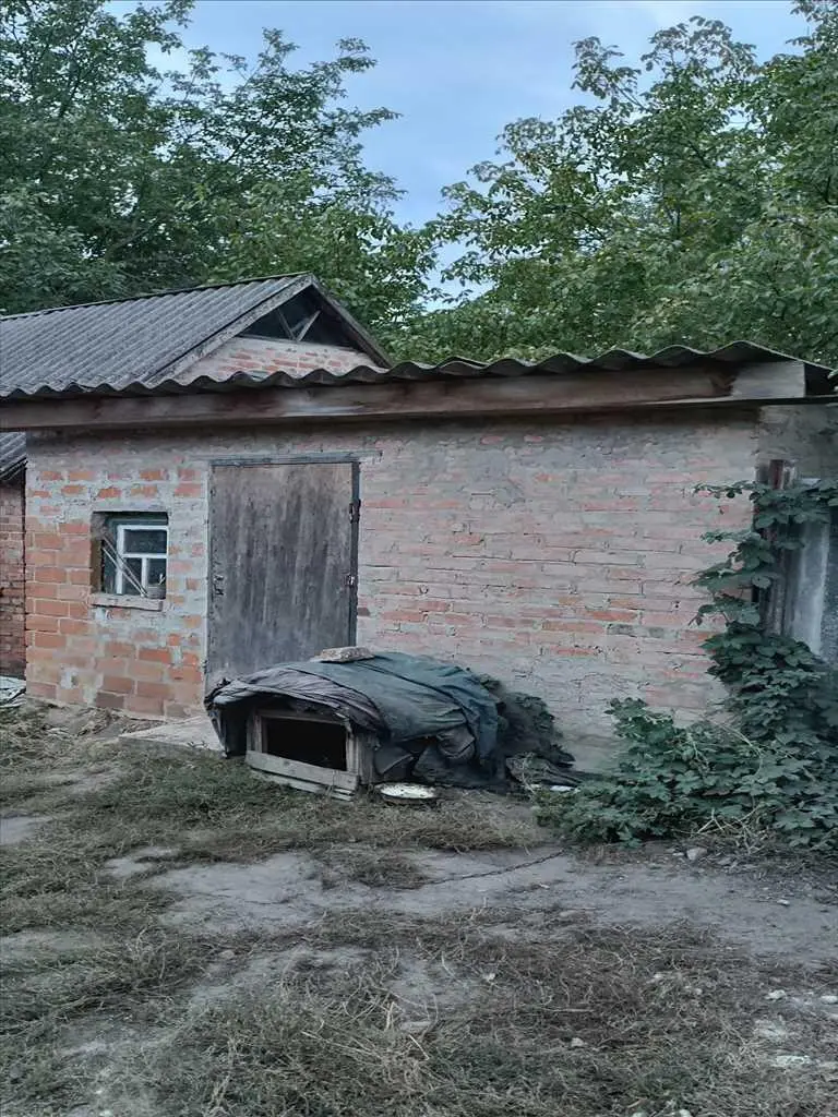 Будинок в оточенні лісу!