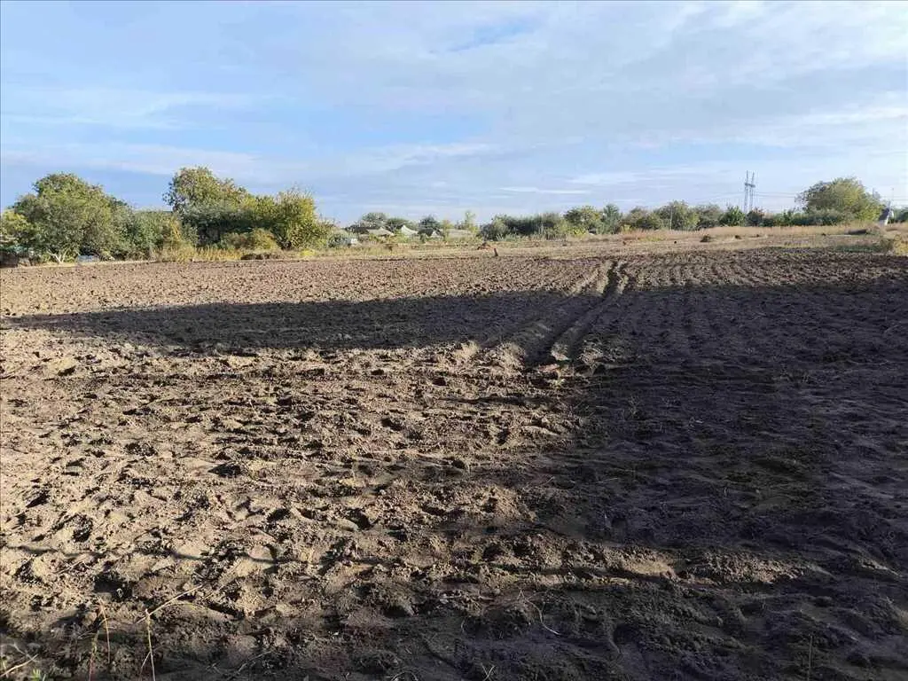 Земельна ділянка в Мачухах!