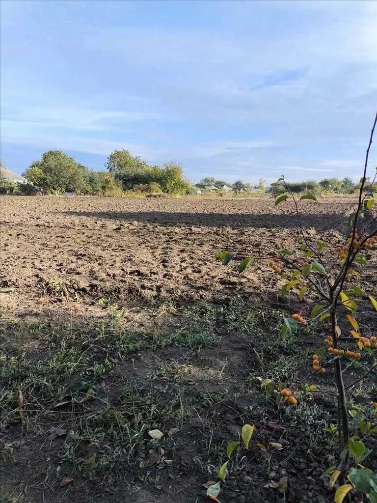 Земельна ділянка в Мачухах!