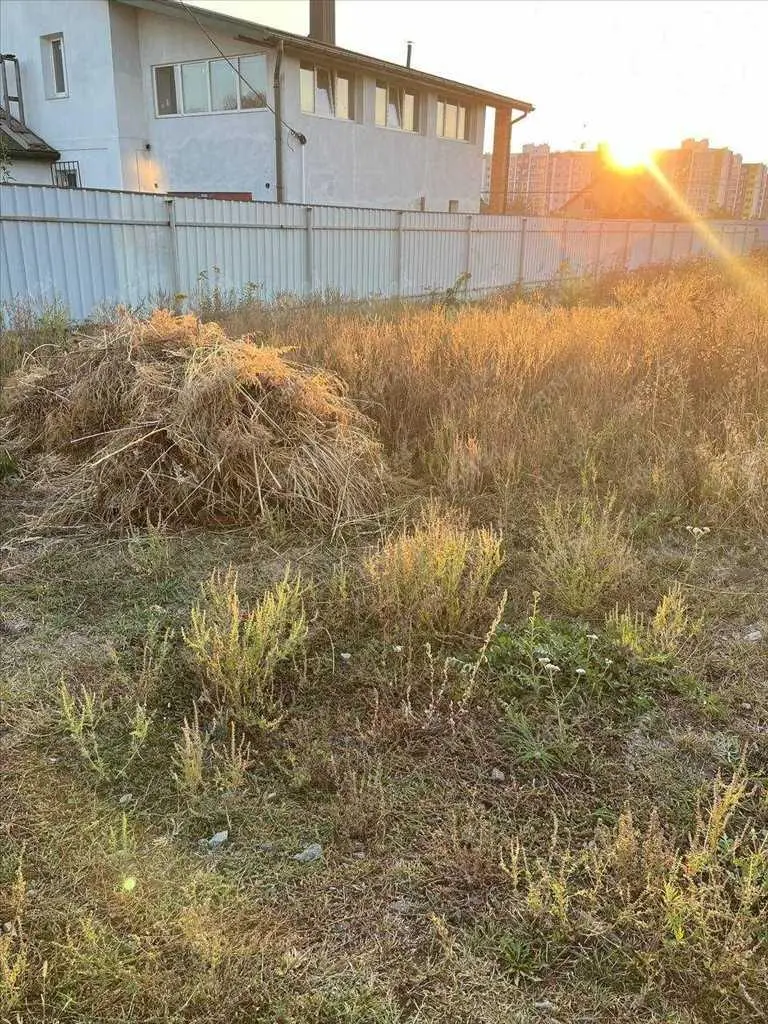 Чудова ділянка на Браїлках