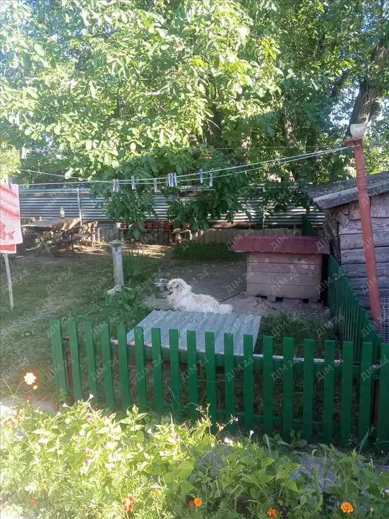 Будинок із земельною ділянкою в центрі Диканьки