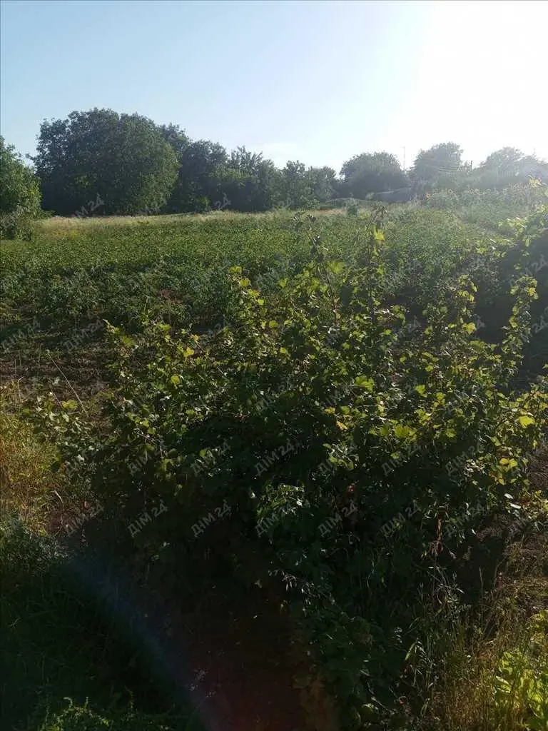 Будинок із земельною ділянкою в центрі Диканьки