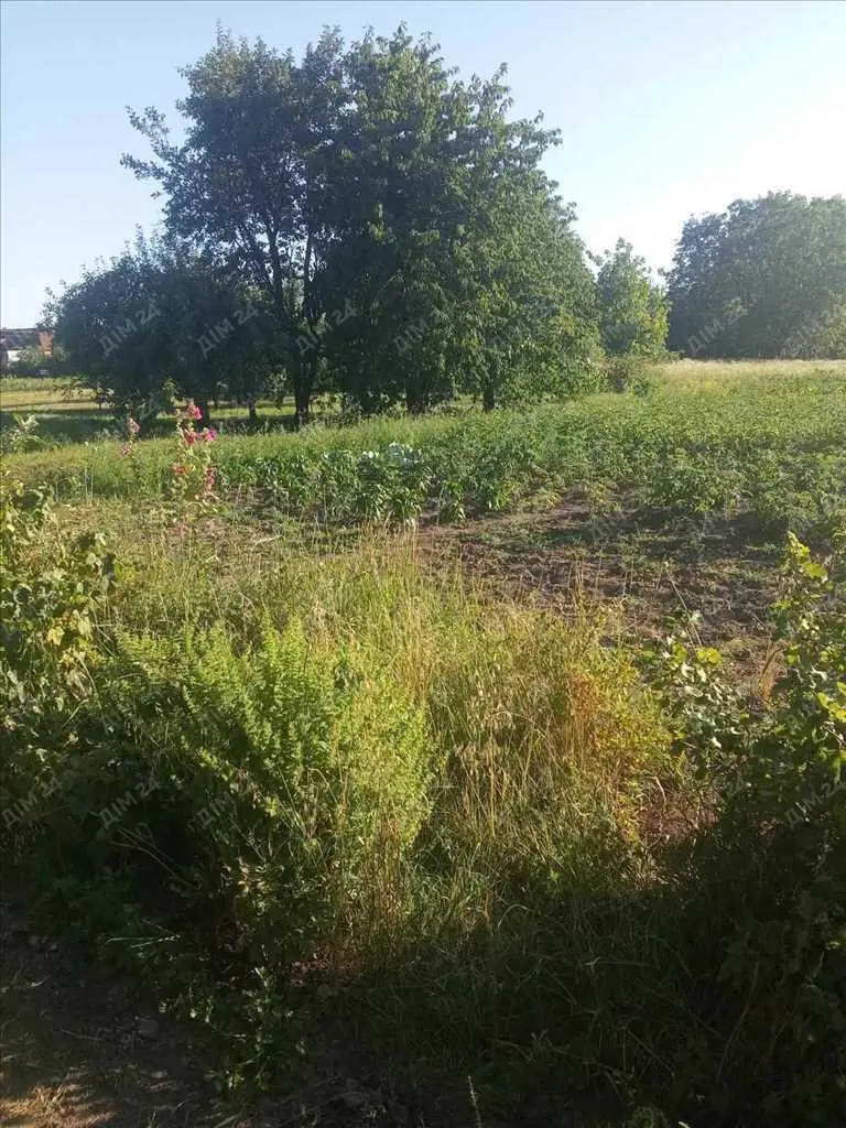 Будинок із земельною ділянкою в центрі Диканьки