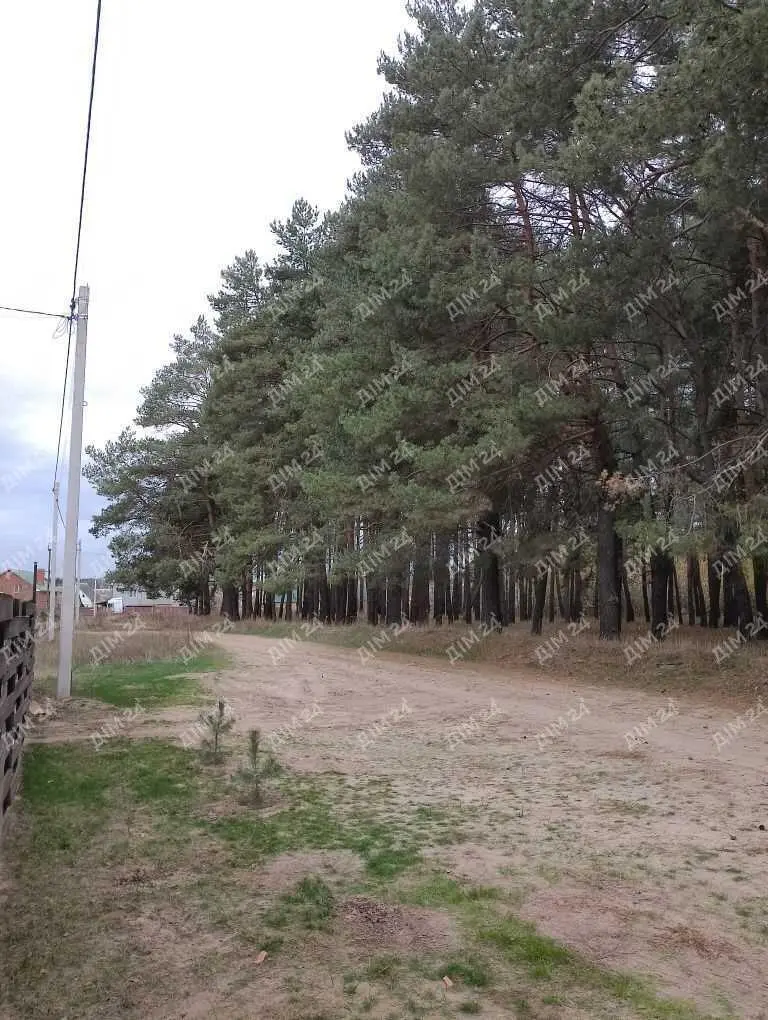 Просторий будинок в мальовничому місці Полтави – ваш ідеальний дім!