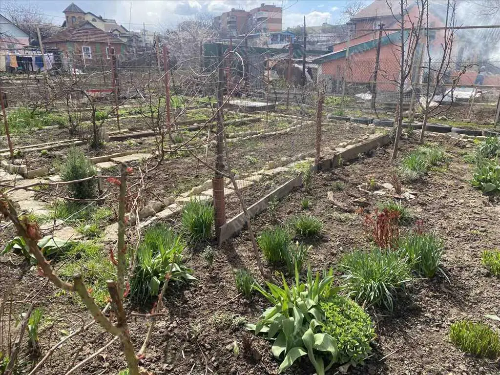 Затишний цегляний будинок з окремою ділянкою.