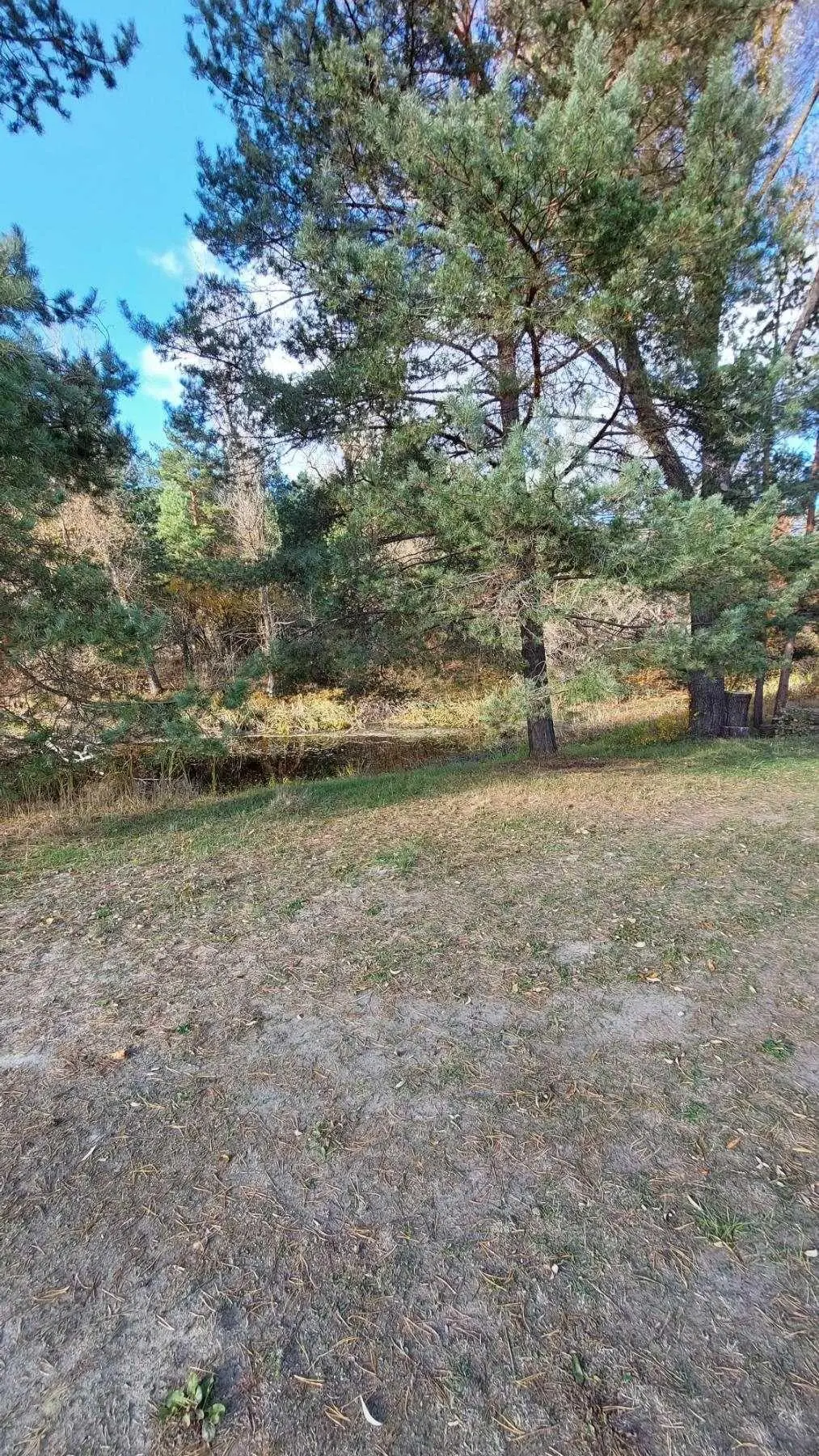 Дача поруч з річкою 