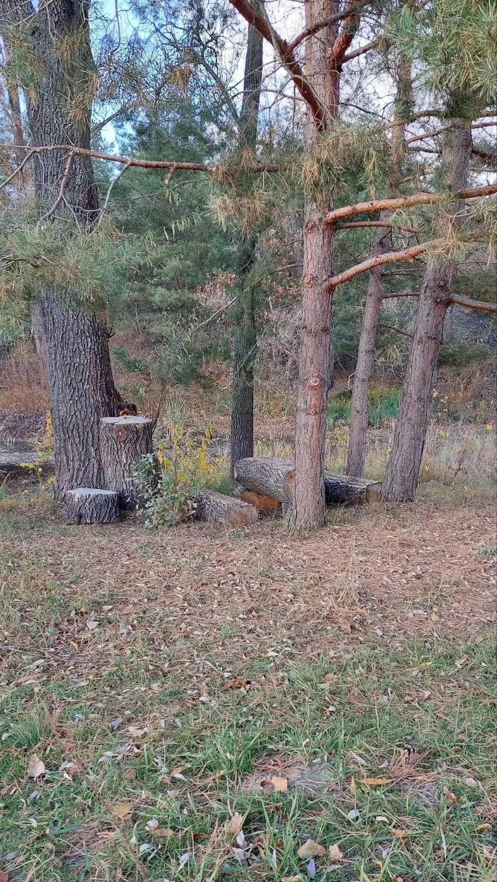 Дача поруч з річкою 