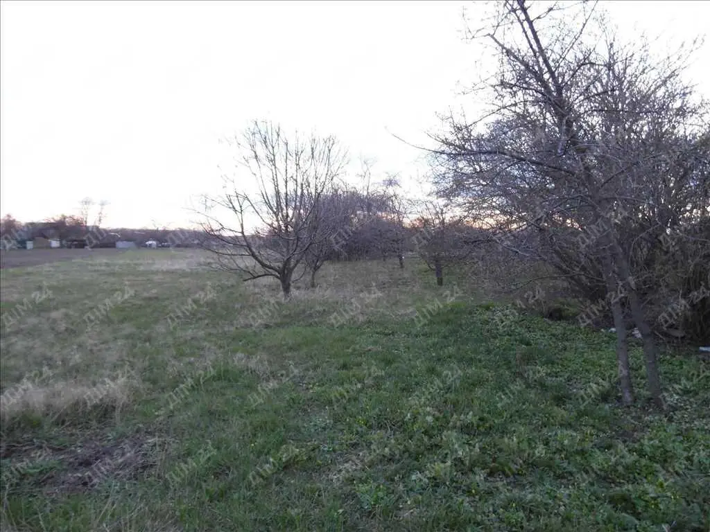 Дача, земельна ділянка в Диканці