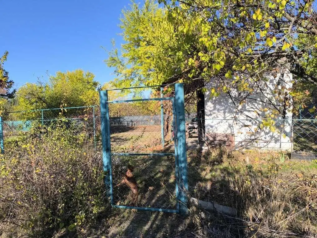 Дачна ділянка в с. Писарівка