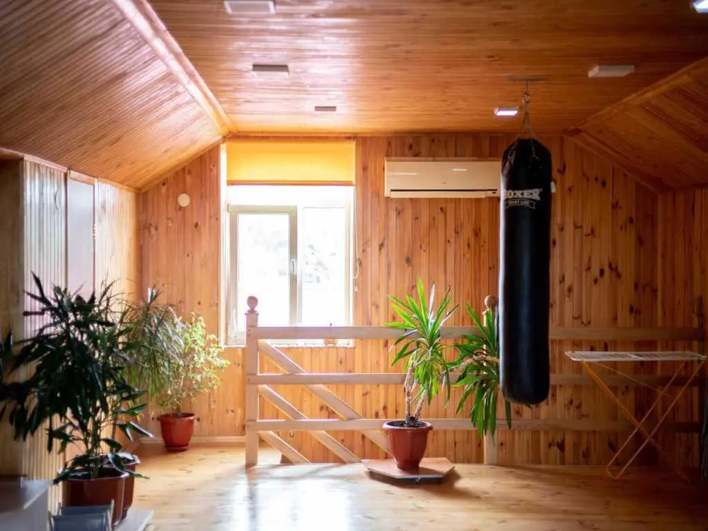 Просторий будинок в передмісті