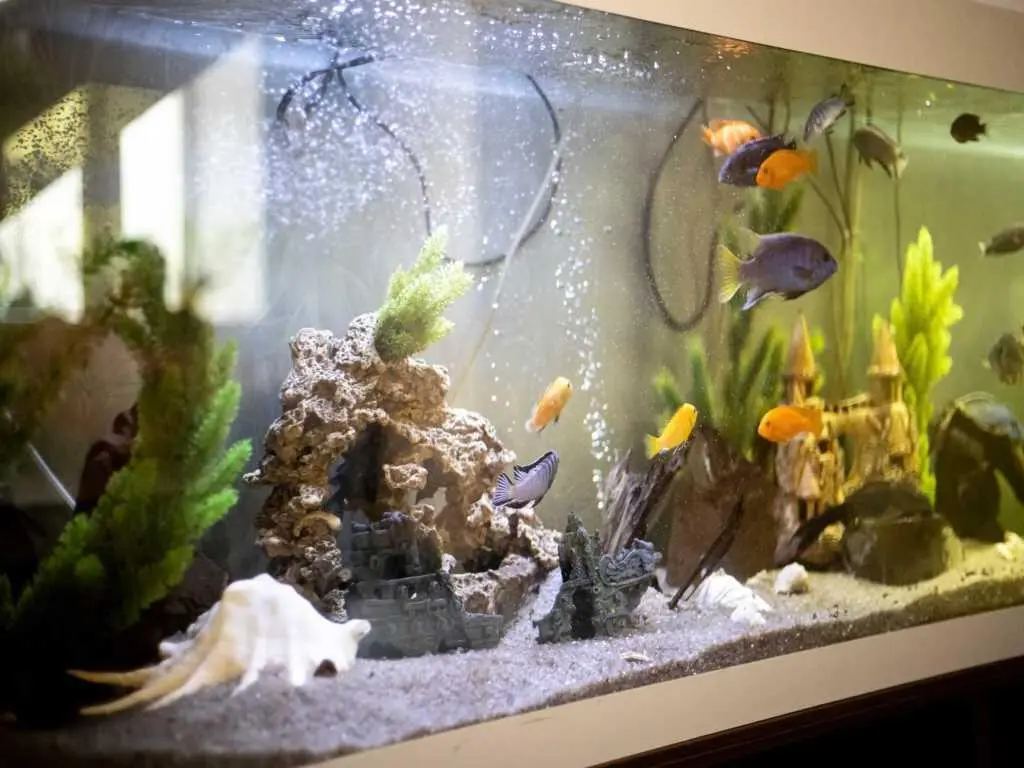 Просторий будинок в передмісті