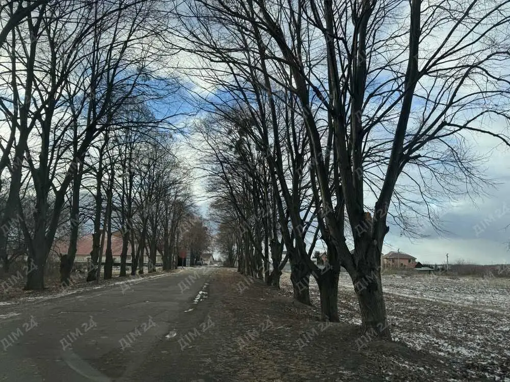 Ділянка під забудову у Розсошенцях. 