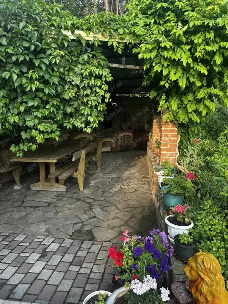 Сосни на ділянці, річка та пляж за воротами. Пошук закінчено!