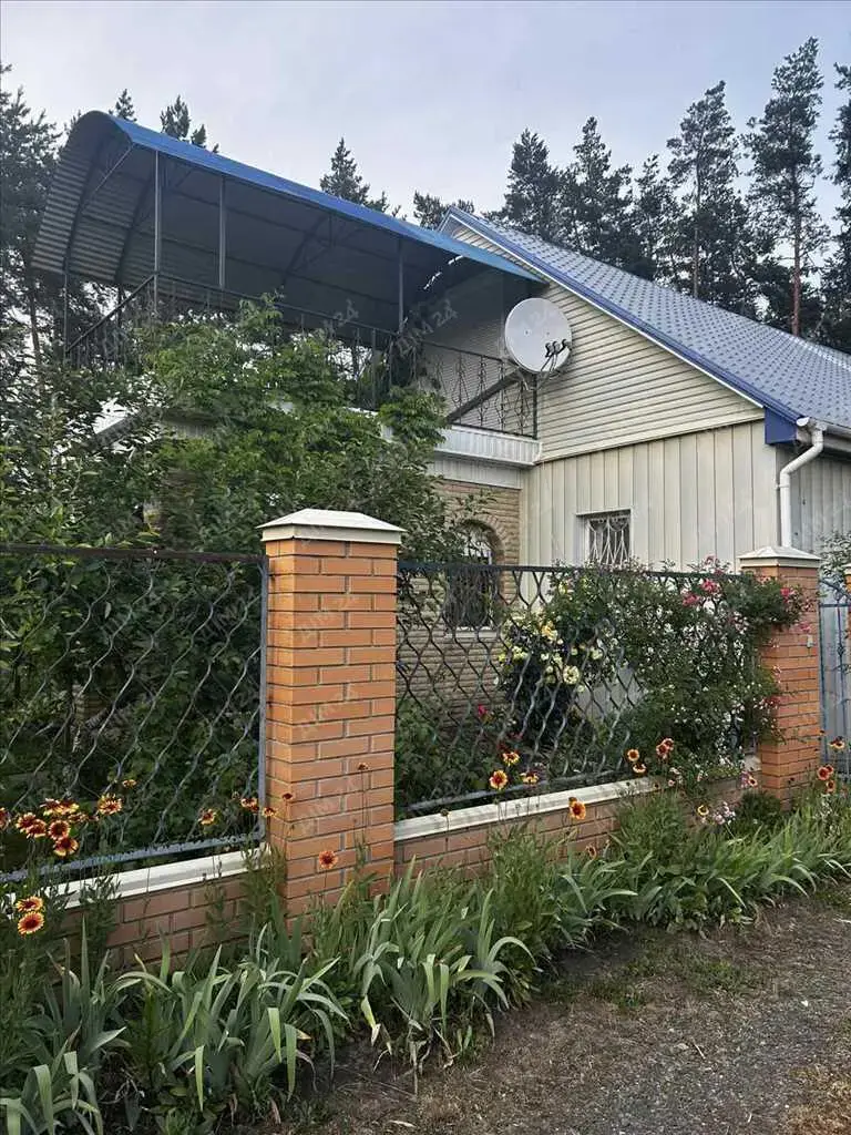 Сосни на ділянці, річка та пляж за воротами. Пошук закінчено!