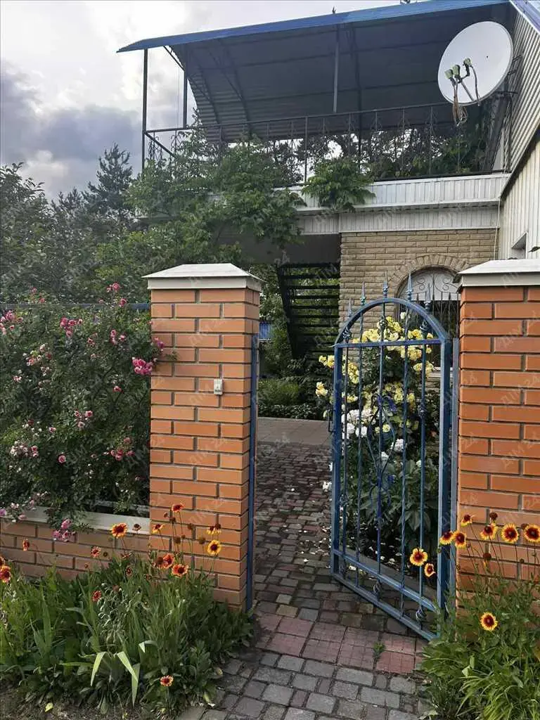 Сосни на ділянці, річка та пляж за воротами. Пошук закінчено!