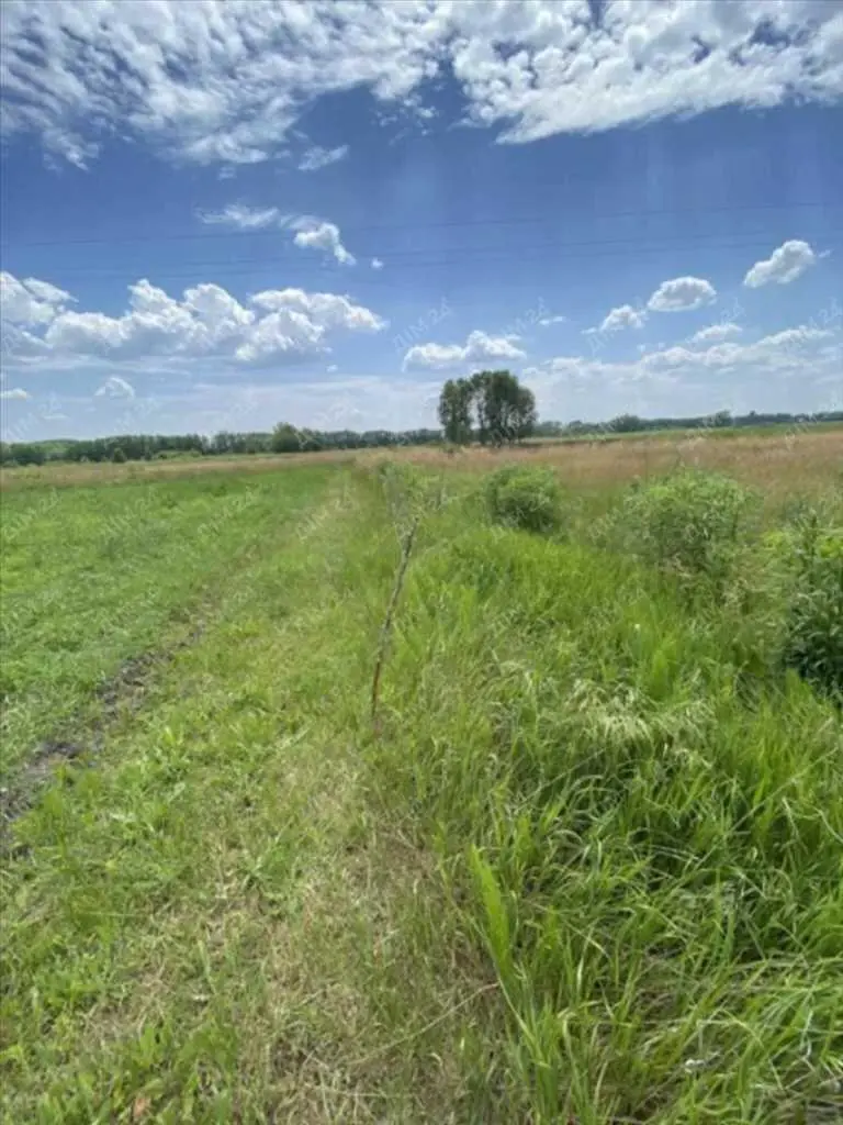 Ділянка з комунікаціями в Заворскло!