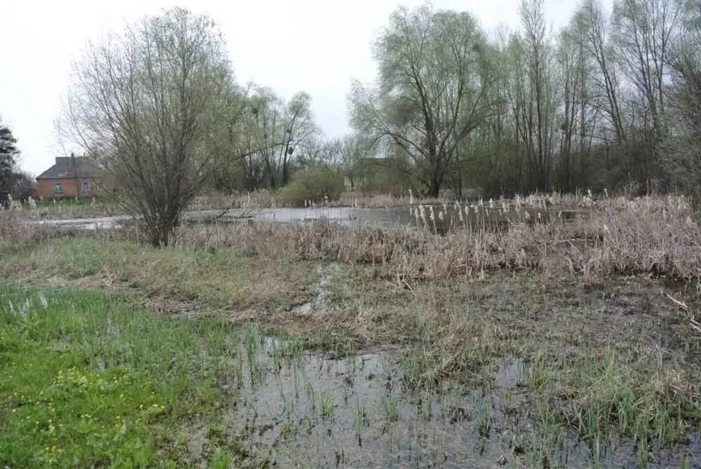 Земельна ділянка в Сем`янівці. 
