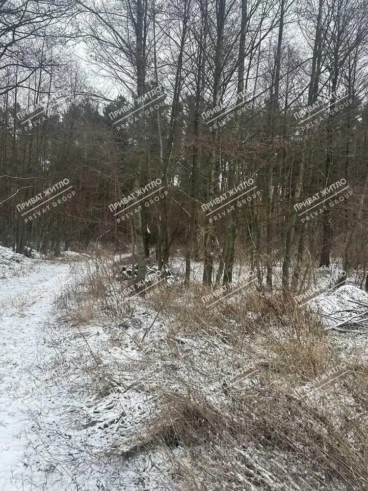  4 ділянки по 10 соток в Вакуленцях