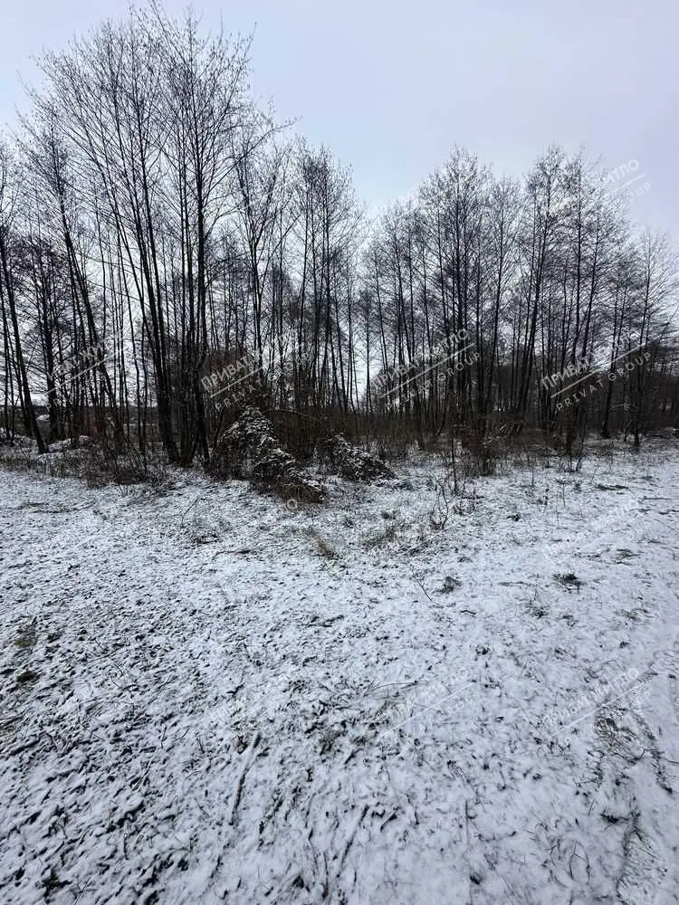  4 ділянки по 10 соток в Вакуленцях