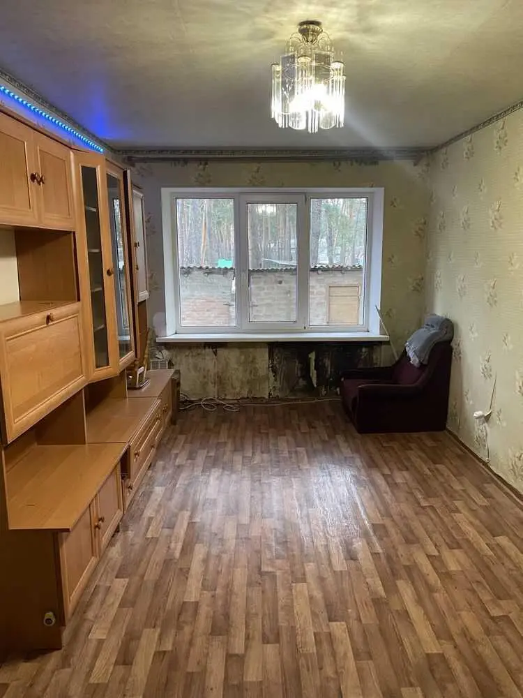 Однокімнатна квартира в Копилах