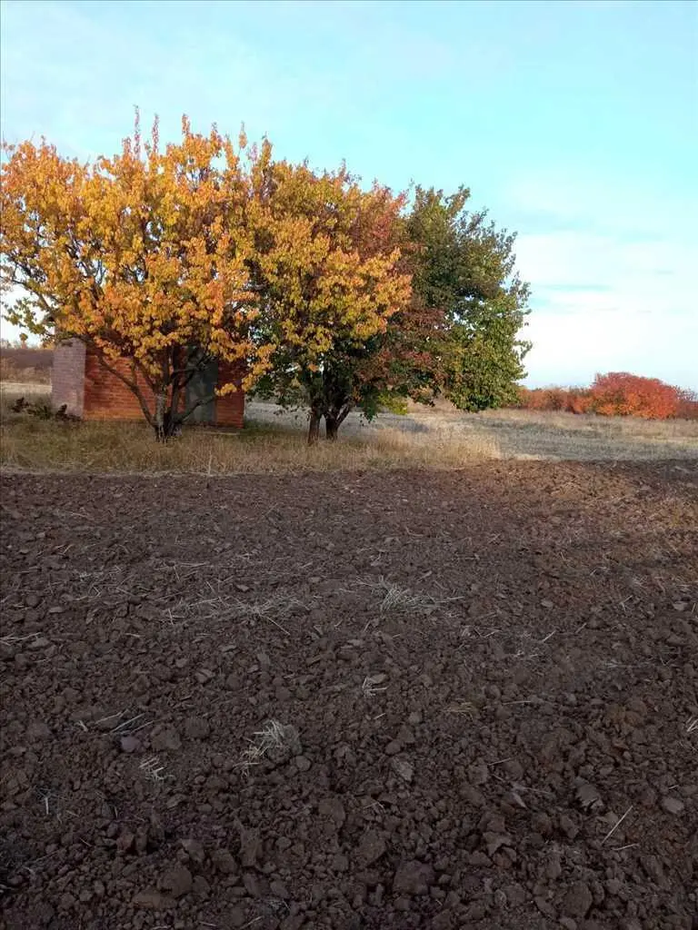 Земельна ділянка майже даром ! 