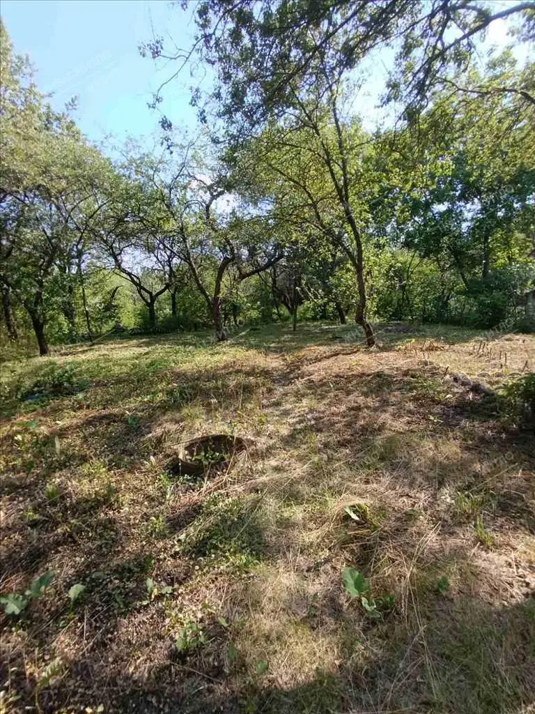 Ділянка з дачним будиночком в перспективі!