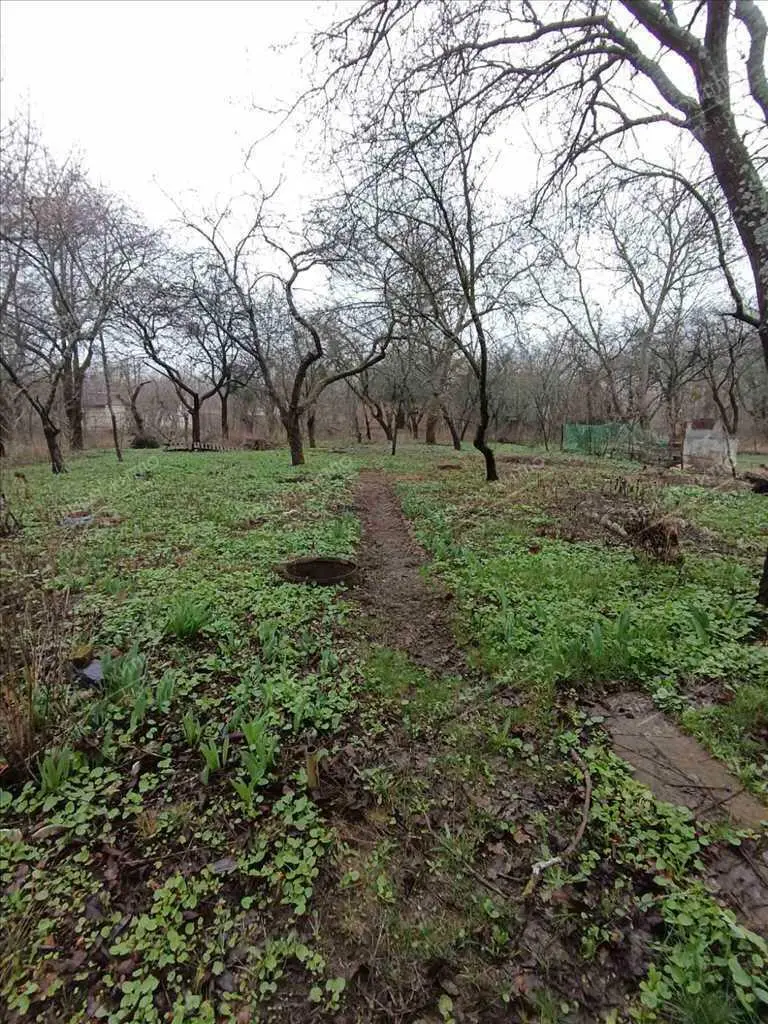 Ділянка з дачним будиночком в перспективі!