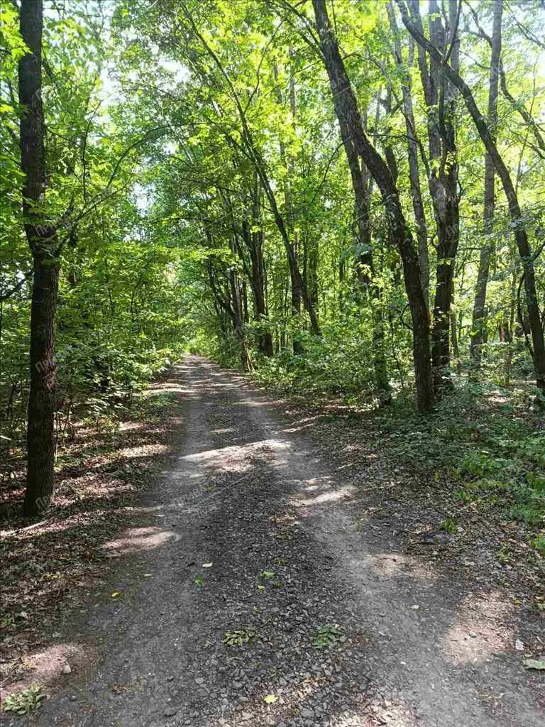 Ділянка з дачним будиночком в перспективі!