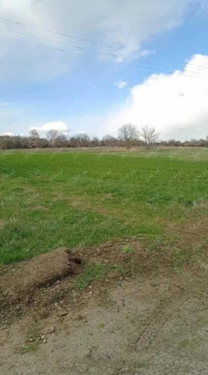 Земельна ділянка в Жуках