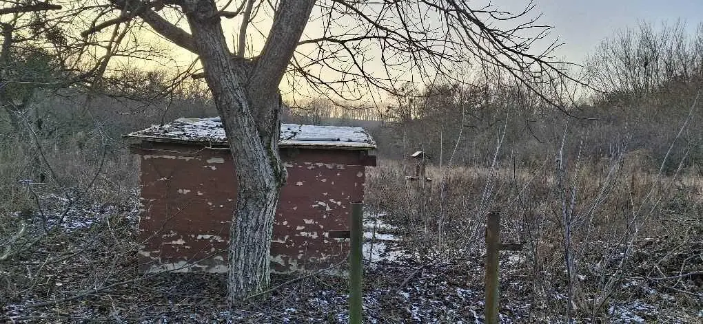 Земельна ділянка в Патлаївці