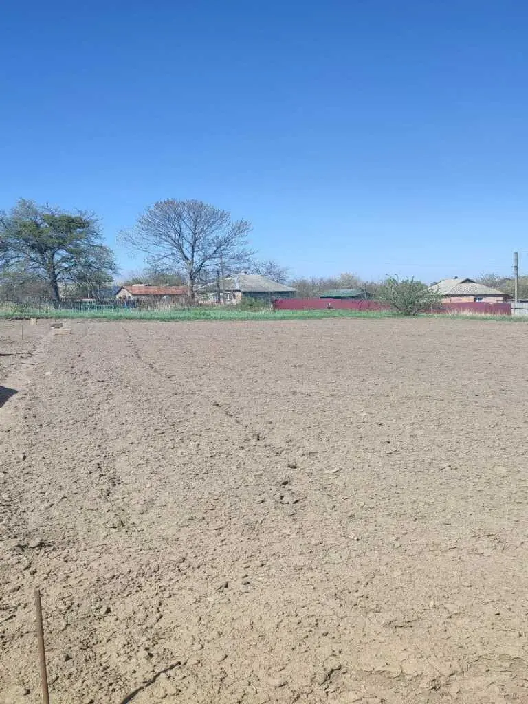 Земельна ділянка в Судіївці