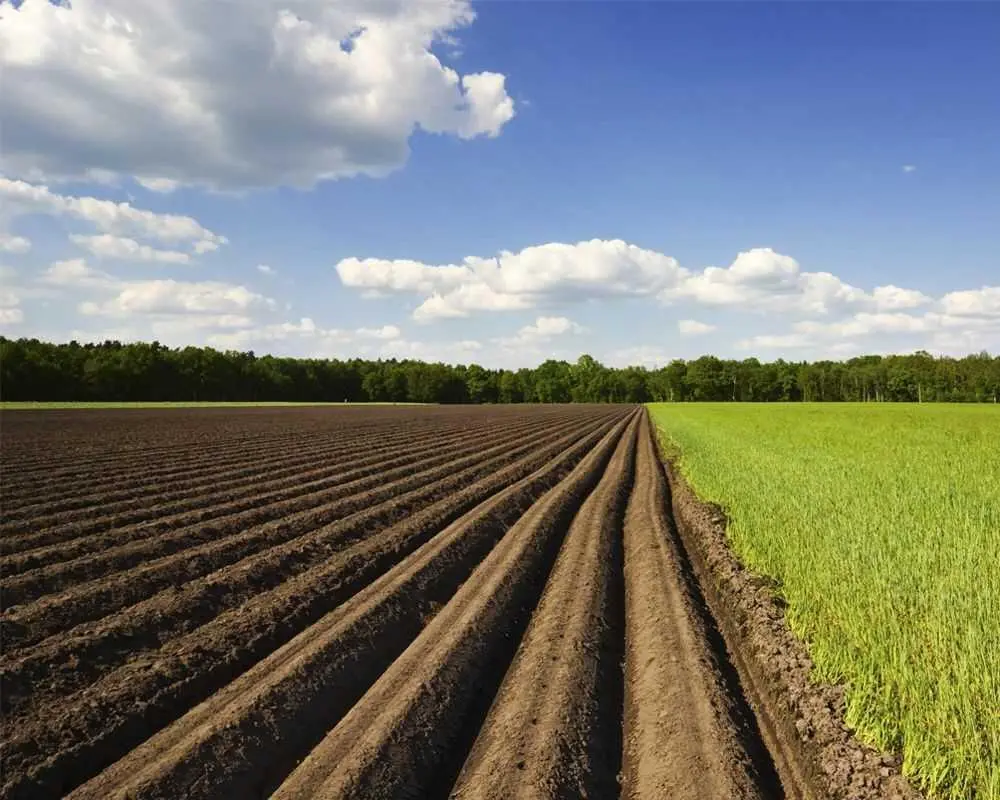 Земельна ділянка під бізнес