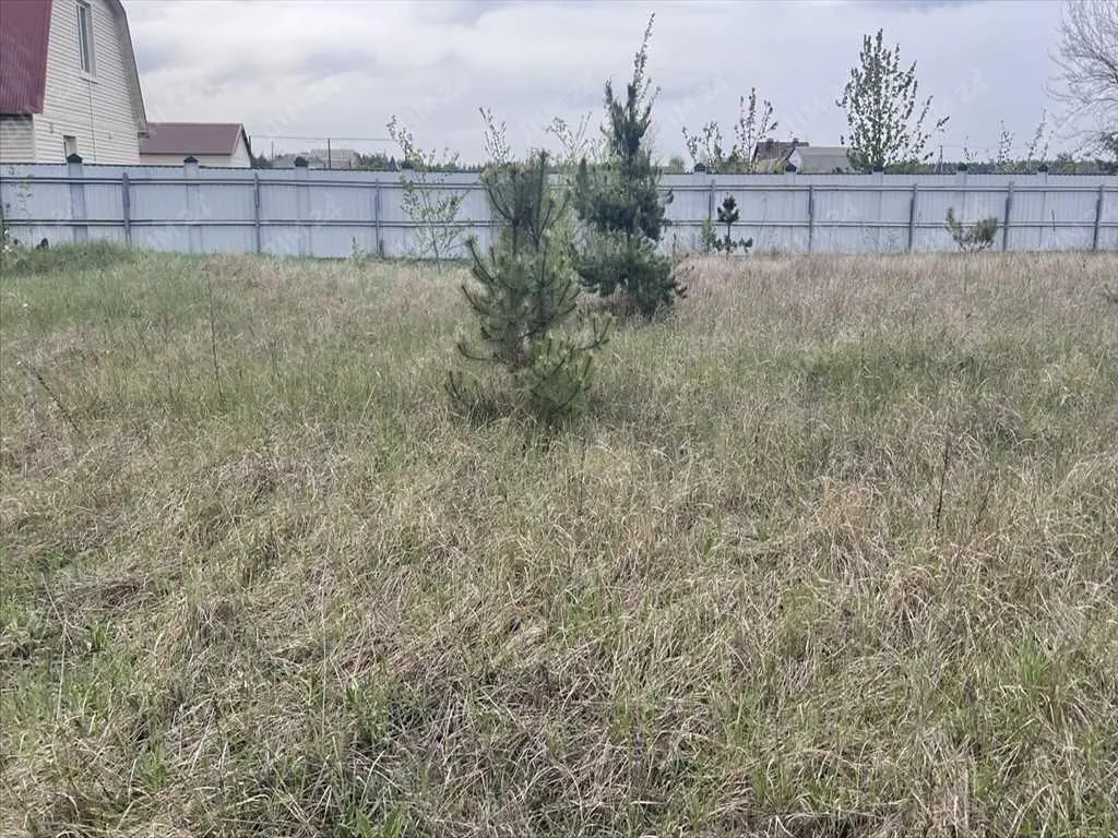 Ділянка в сосновому лісі!