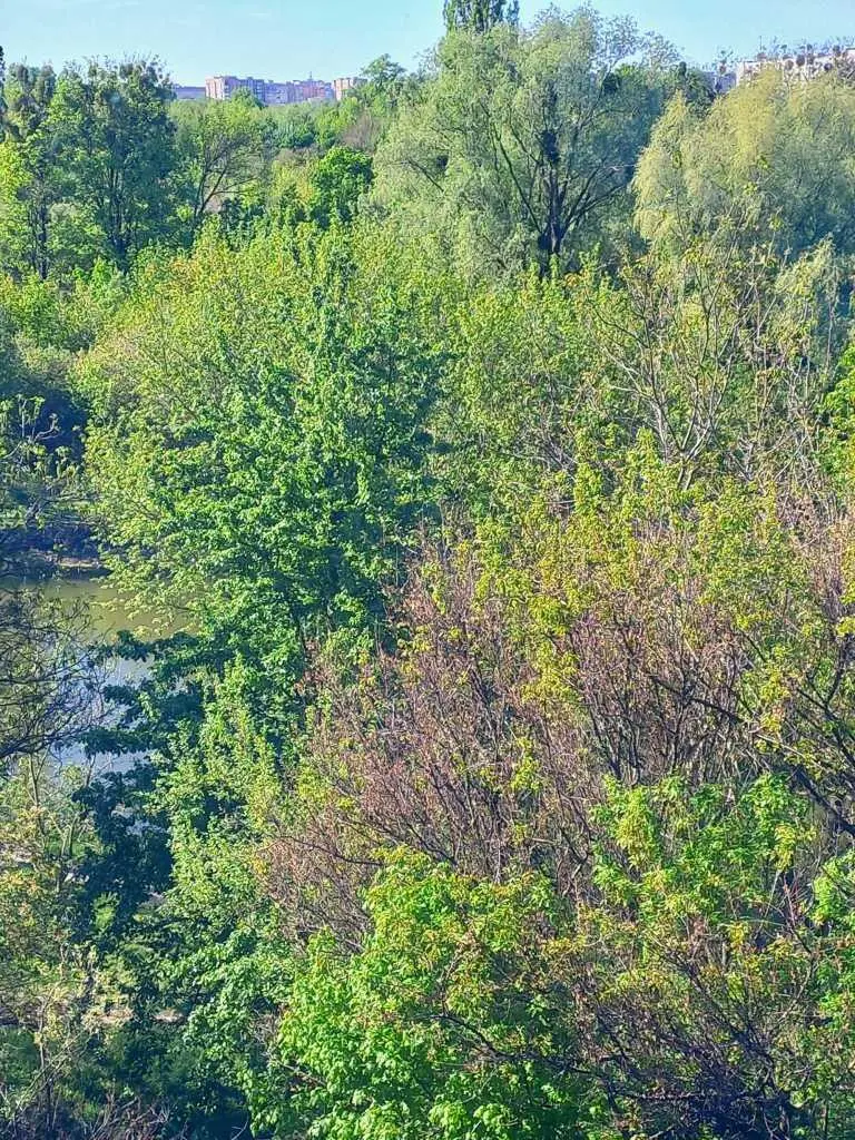 Продаж 2-кімнатної квартири в районі 1 міської лікарні