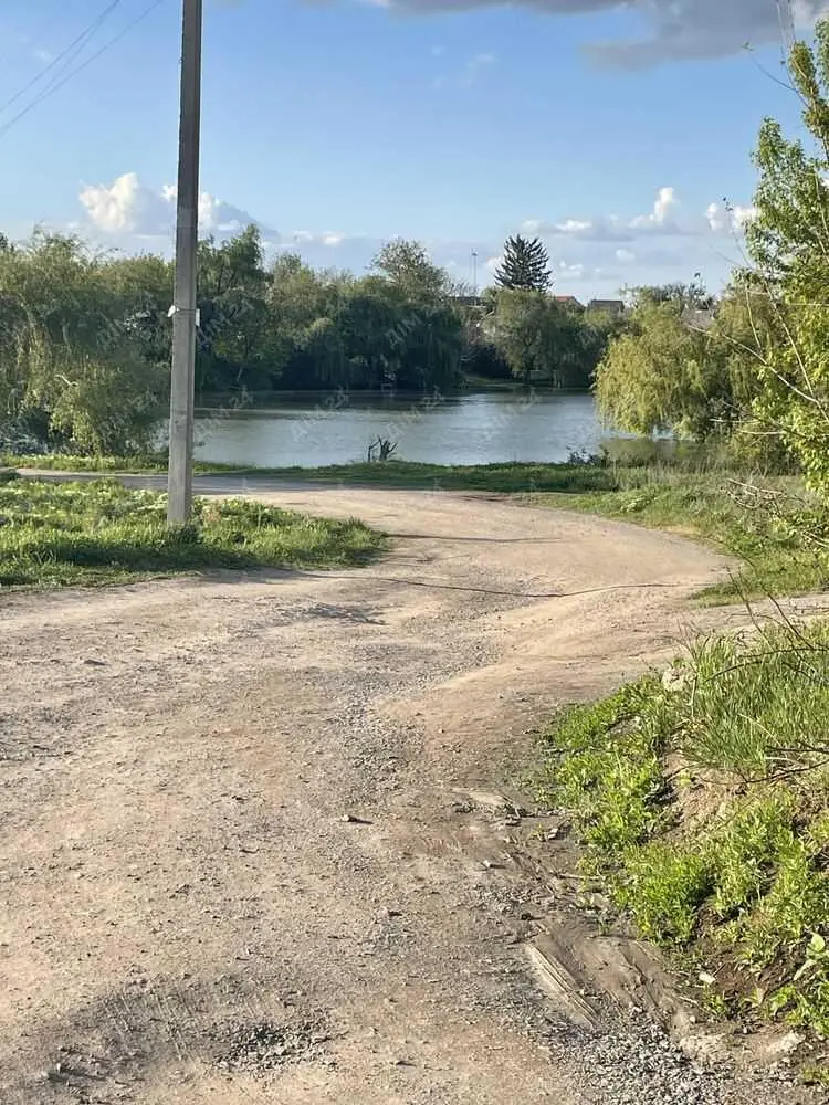 Окремий будинок в центрі Рибців.