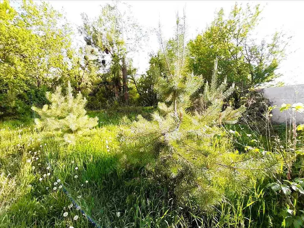 Ваша газифікована ділянка. 