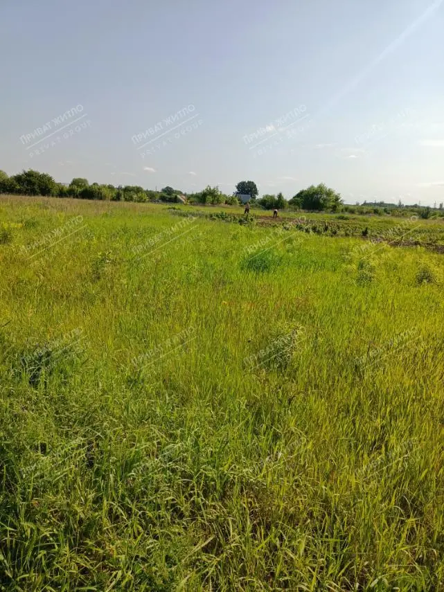 Земельна ділянка по трасі Київ-Харків