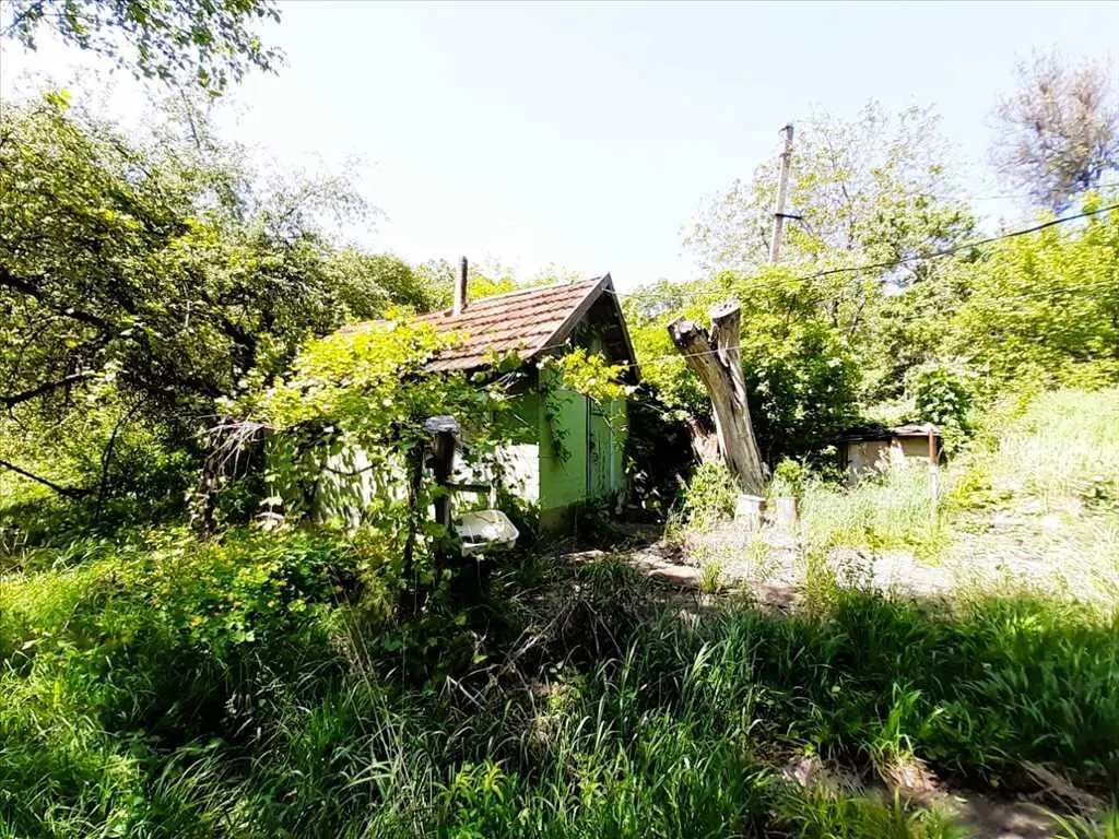 Природний шарм передмістя.