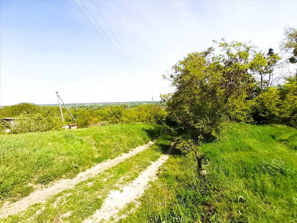 Природний шарм передмістя.