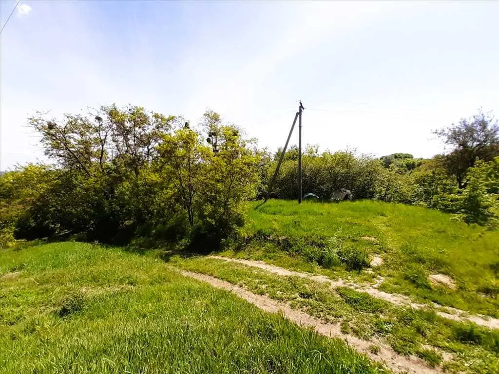 Природний шарм передмістя.