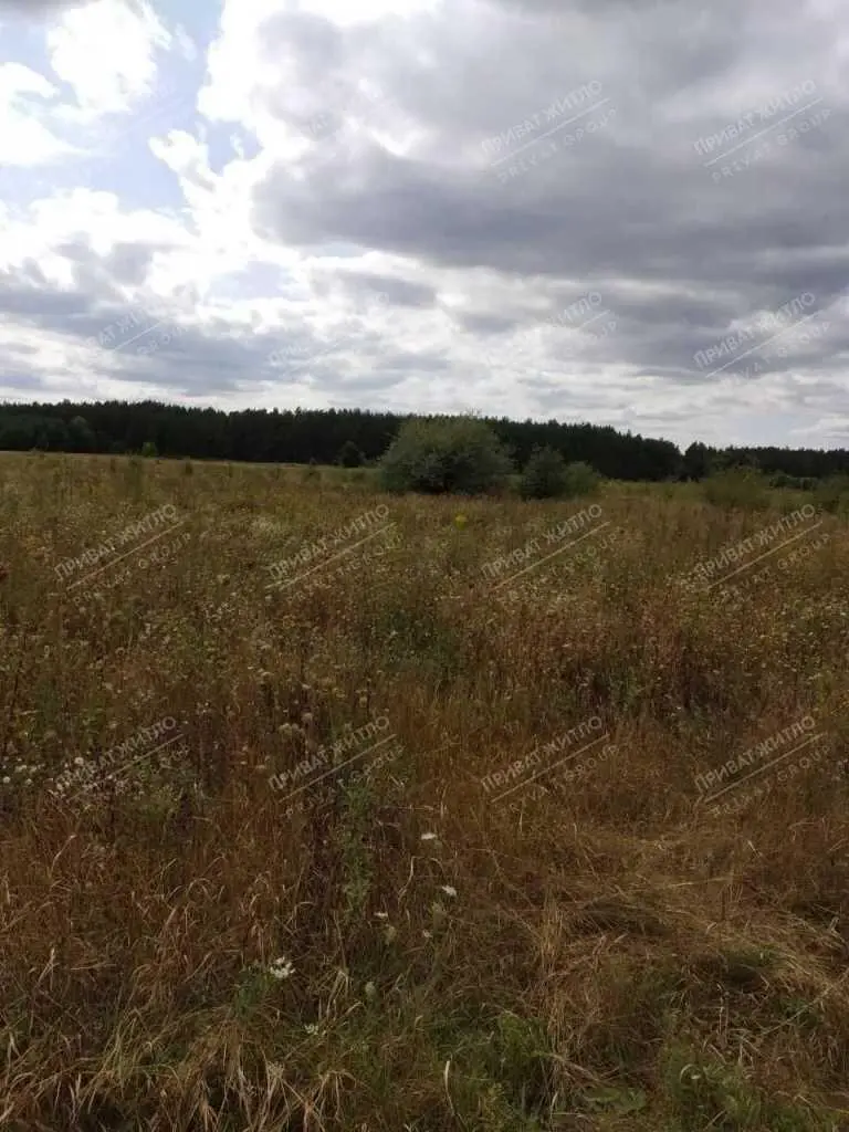 Продається земельна ділянка с. Верхоли