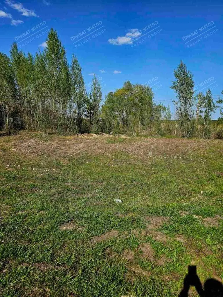 Продається земельна ділянка в Ліску