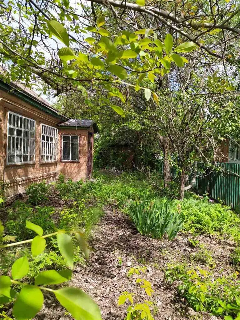 Чудова ділянка біля соснового лісу та пляжу в с. Головач