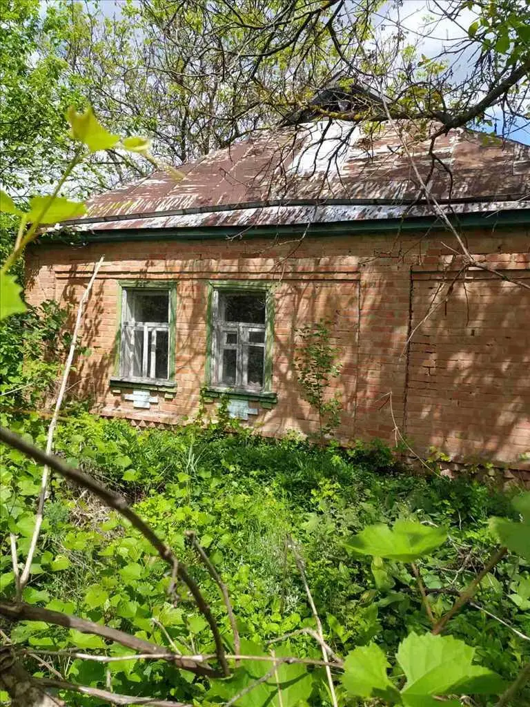 Чудова ділянка біля соснового лісу та пляжу в с. Головач