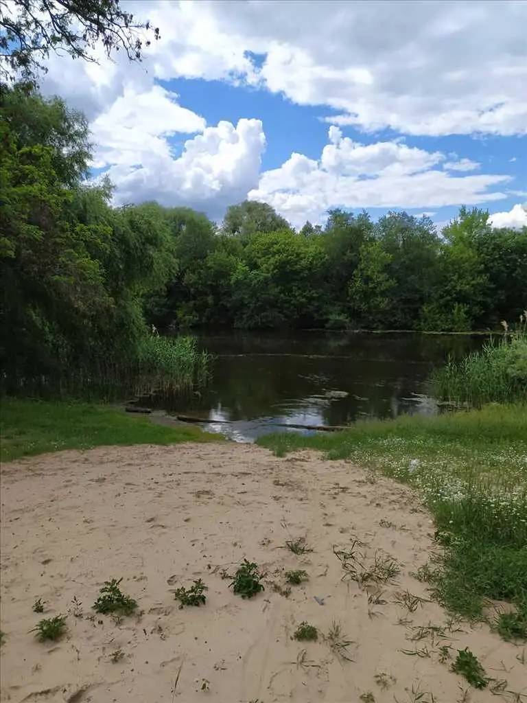 Чудова ділянка біля соснового лісу та пляжу в с. Головач
