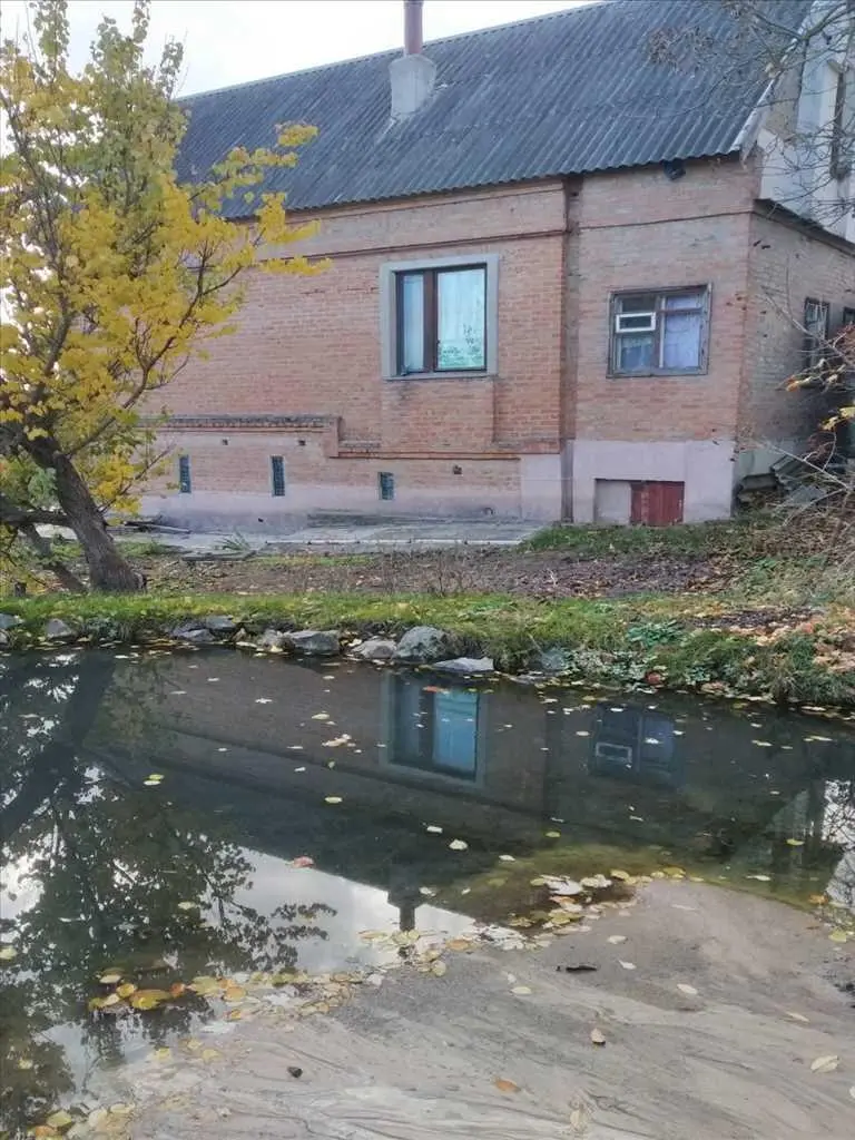 Будинок в Петрівці.