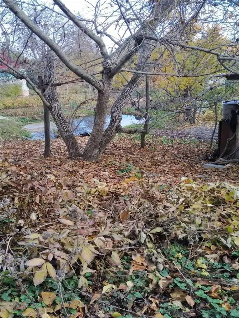 Будинок в Петрівці.