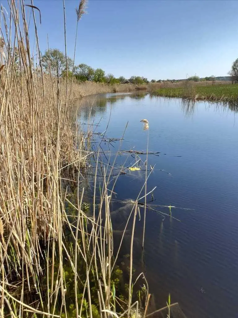 Ковалівка.Ділянка з виходом на Коломак. 