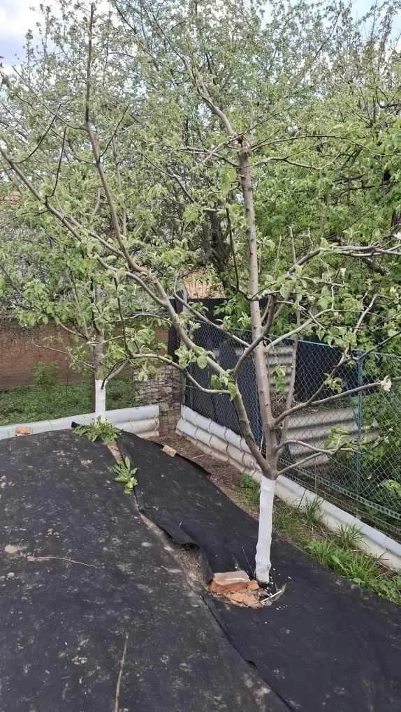 Будинок в Яру